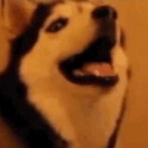 Meet your Posher, Jacklyn